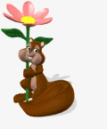 87375bdde3d97d22e5efaae8fcd7b870