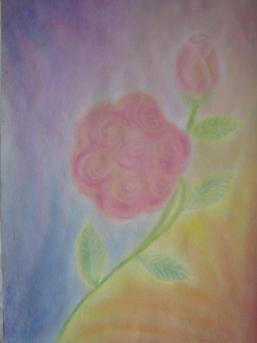 24f5b89e09urn-jpg-369-492-cc-dri-lf2insoplea14nojg5n
