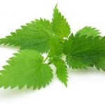 images (4)